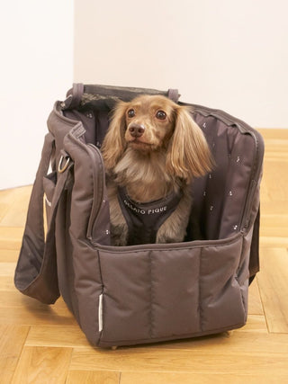[CAT & DOG] Open-Back Harness