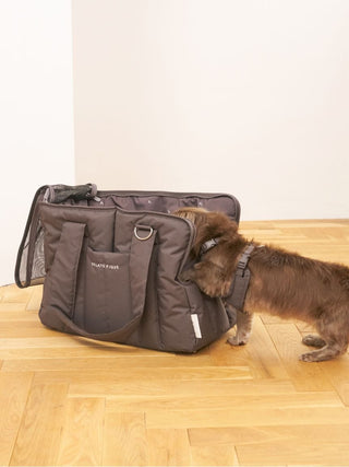 [CAT & DOG] Open-Back Harness
