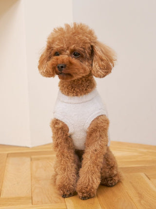 [CAT & DOG] Smoothie Toy Poodle Jacquard Pullover