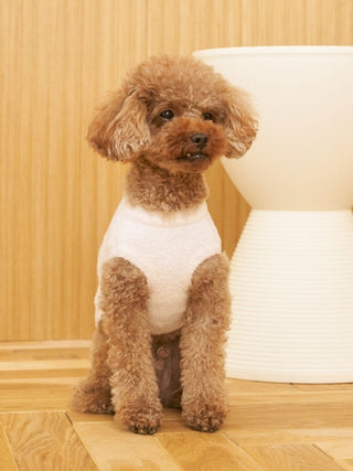[CAT & DOG] Smoothie Toy Poodle Jacquard Pullover
