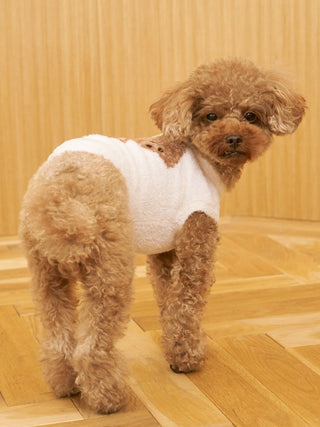 [CAT & DOG] Smoothie Toy Poodle Jacquard Pullover
