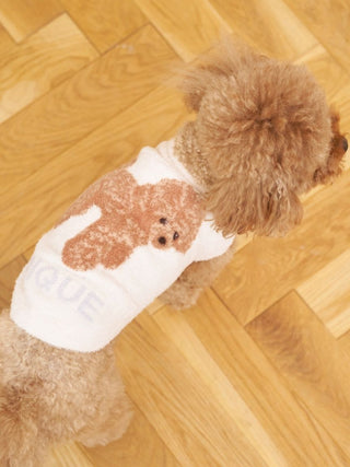 [CAT & DOG] Smoothie Toy Poodle Jacquard Pullover