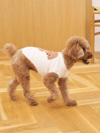 [CAT & DOG] Smoothie Toy Poodle Jacquard Pullover
