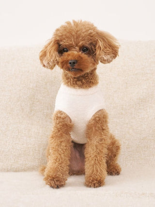 [CAT & DOG] Smoothie Toy Poodle Jacquard Pullover