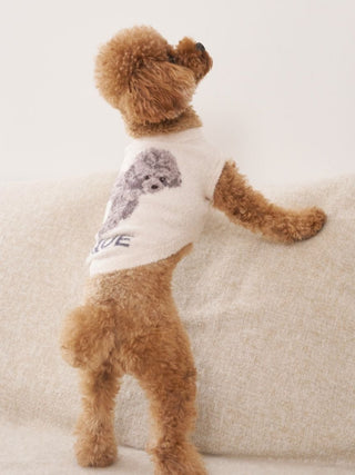 [CAT & DOG] Smoothie Toy Poodle Jacquard Pullover