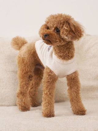 [CAT & DOG] Smoothie Toy Poodle Jacquard Pullover