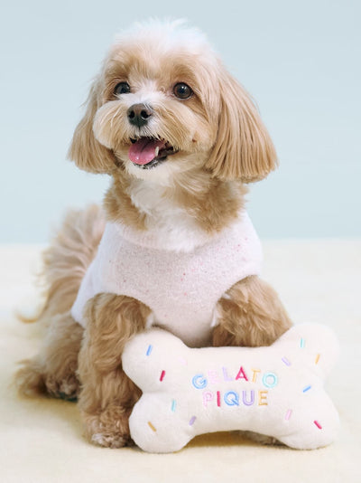 [CAT&DOG] Happy Birthday Bone Toy gelato pique