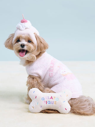 [CAT&DOG] Happy Birthday Bone Toy