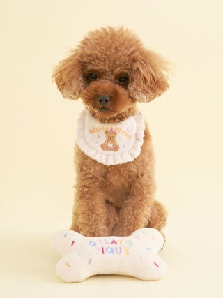 [CAT&DOG] Happy Birthday Bone Toy