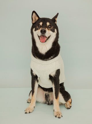 [CAT&DOG] Shiba Jacquard Pet Pullover