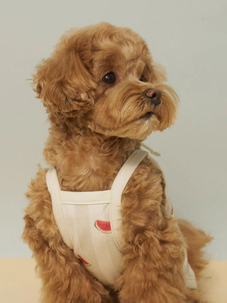 [CAT&DOG] Striped Cool Fabric Pet Pullover