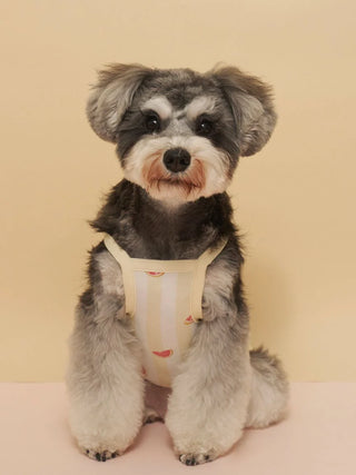 [CAT&DOG] Striped Cool Fabric Pet Pullover
