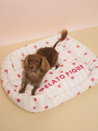 [CAT&DOG] Pet Cooling Bed M-size