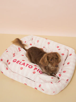 [CAT&DOG] Pet Cooling Bed M-size