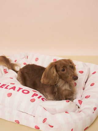 [CAT&DOG] Pet Cooling Bed M-size