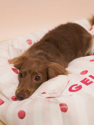 [CAT&DOG] Pet Cooling Bed M-size