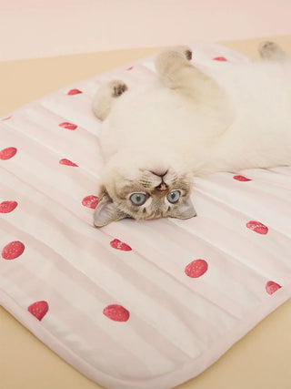 [CAT&DOG] Pet Cooling Mat