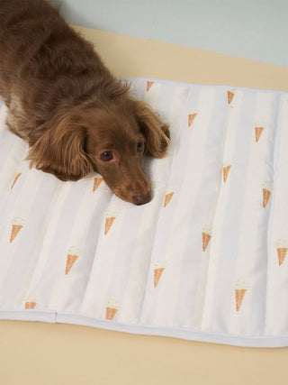 [CAT&DOG] Pet Cooling Mat