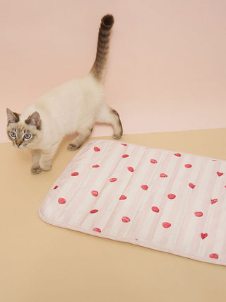[CAT&DOG] Pet Cooling Mat