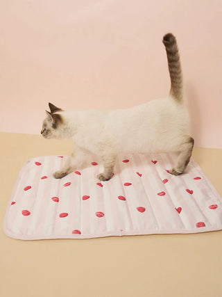 [CAT&DOG] Pet Cooling Mat
