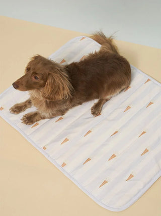 [CAT&DOG] Pet Cooling Mat