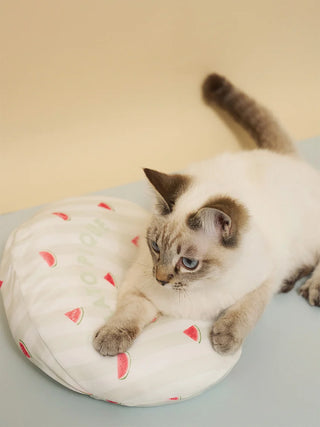 [CAT&DOG] Pet Cooling Pillow