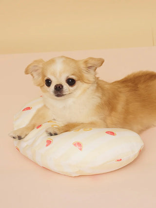[CAT&DOG] Pet Cooling Pillow