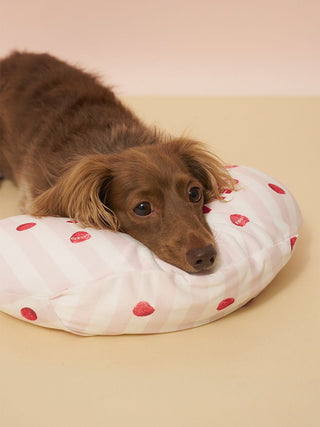 [CAT&DOG] Pet Cooling Pillow