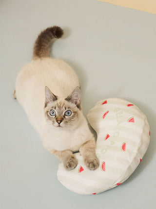 [CAT&DOG] Pet Cooling Pillow