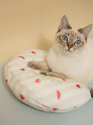 [CAT&DOG] Pet Cooling Pillow
