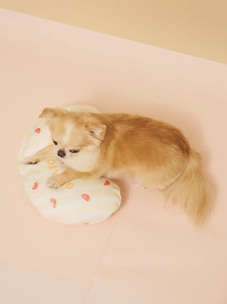 [CAT&DOG] Pet Cooling Pillow