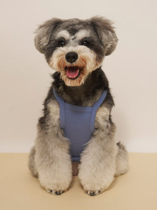 [CAT&DOG] Summer Bear Pet Pullover