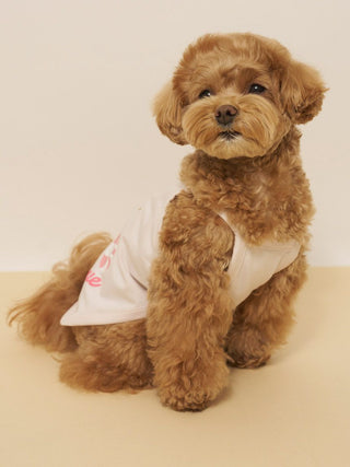 [CAT&DOG] Summer Bear Pet Pullover