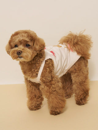 [CAT&DOG] Summer Bear Pet Pullover