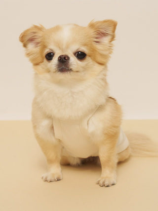 [CAT&DOG] Summer Bear Pet Pullover