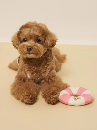[CAT&DOG] Summer Bear Pet Toy