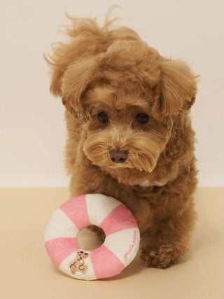[CAT&DOG] Summer Bear Pet Toy