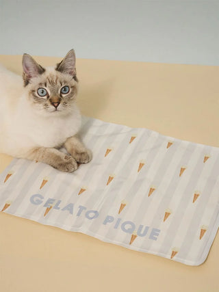 [CAT&DOG] Summer Bear Cool Pet Mat