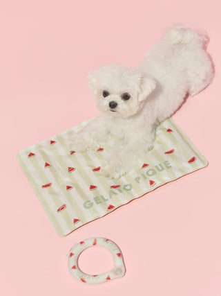 [CAT&DOG] Summer Bear Cool Pet Mat