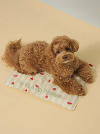 [CAT&DOG] Summer Bear Cool Pet Mat
