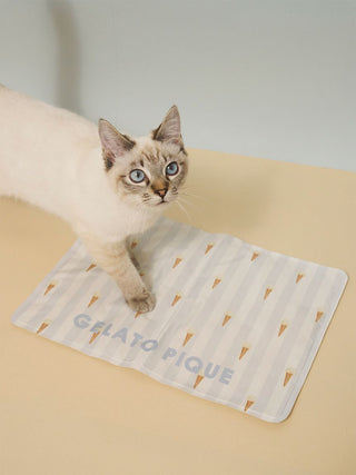 [CAT&DOG] Summer Bear Cool Pet Mat