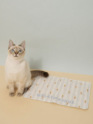 [CAT&DOG] Summer Bear Cool Pet Mat