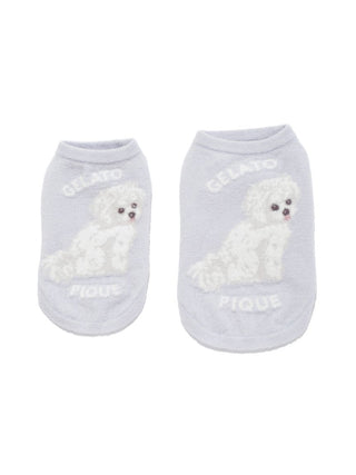 [CAT&DOG] Smoothie Maltese Printed Pet Pullover