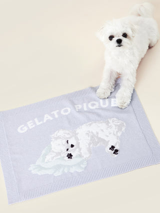 [CAT&DOG] Maltese Printed Pet Blanket