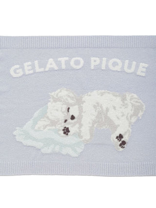 [CAT&DOG] Maltese Printed Pet Blanket