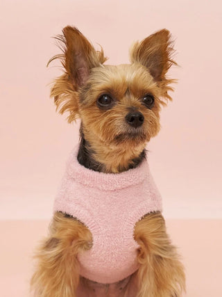 [CAT&DOG] Smoothie Yorkshire Terrier Printed Pet Pullover