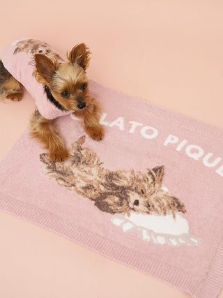 [CAT&DOG] Smoothie Yorkshire Terrier Printed Pet Pullover