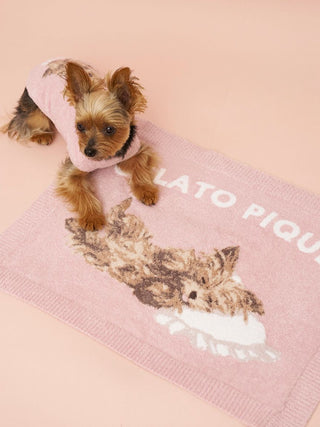 [CAT&DOG] Yorkshire Terrier Printed Pet Blanket