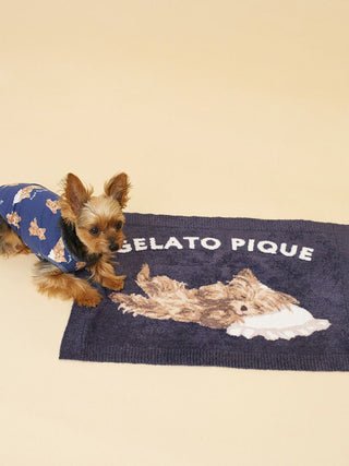 [CAT&DOG] Yorkshire Terrier Printed Pet Blanket