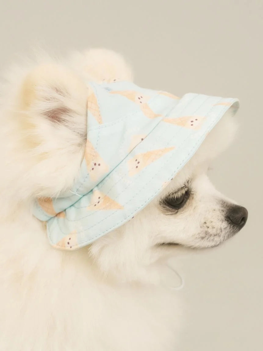CAT&DOG Hat